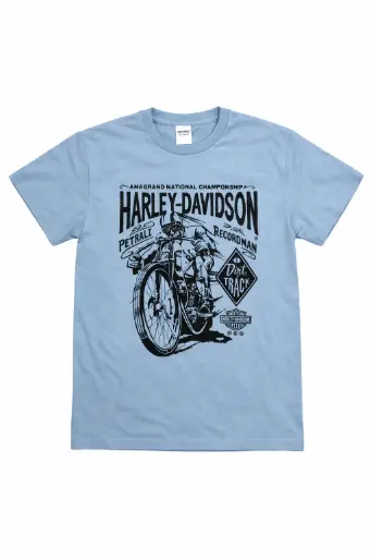 [43694] REM ALG M/C C/O 'HARLEY-DAVIDSON'